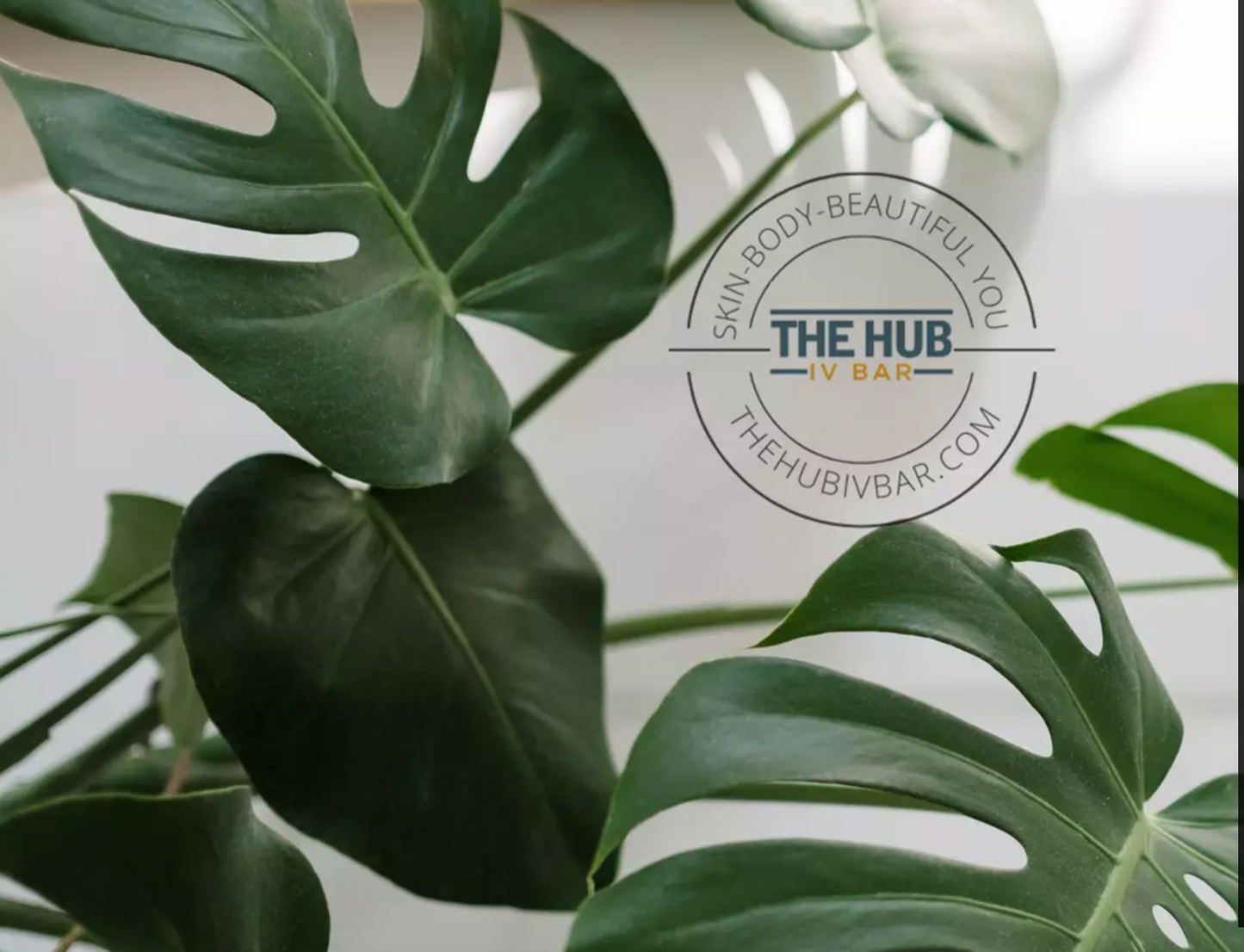 The Hub IV Medical Weight Loss Program